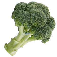 Broccoli